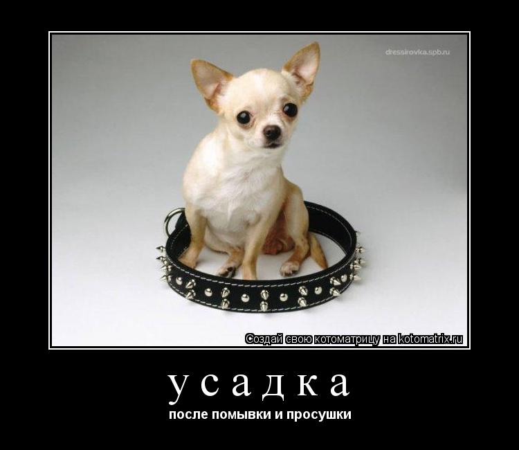 усадка после помывки и просушки... Котоматрица: усадка после помывки и просушки