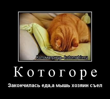 Котогоре Закончилась еда,а мышь хозяин съел... Котоматрица: Котогоре Закончилась еда,а мышь хозяин съел