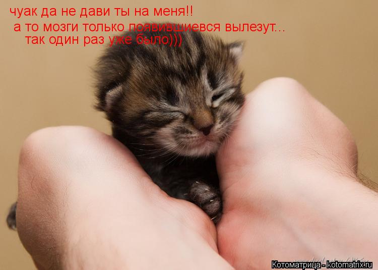 чуак да не дави ты на меня!! а то мозги только появившиевся вылезут... а то мозги только появившиевся... Котоматрица: чуак да не дави ты на меня!! а то мозги только появившиевся вылезут... а то мозги только появившиевся вылезут... так один раз уже было)))