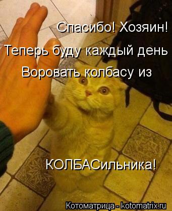 Спасибо! Хозяин! Теперь буду каждый день Воровать колбасу из КОЛБАСильника!... Котоматрица: Спасибо! Хозяин! Теперь буду каждый день Воровать колбасу из КОЛБАСильника!