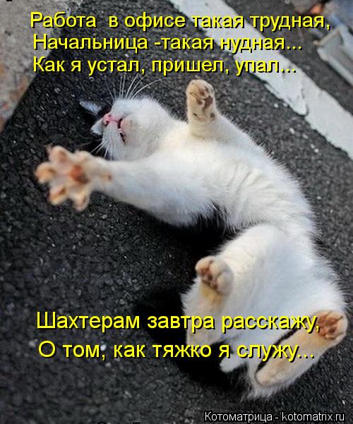 Работа в офисе такая трудная, Начальница -такая нудная... Как я устал, пришел, упал... Шахтерам завт... Котоматрица: Работа в офисе такая трудная, Начальница -такая нудная... Как я устал, пришел, упал... Шахтерам завтра расскажу, О том, как тяжко я служу...