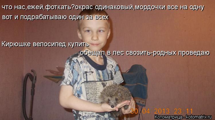 что нас,ежей,фоткать?окрас одинаковый,мордочки все на одну вот и подрабатываю один за всех Кирюшке ве... Котоматрица: что нас,ежей,фоткать?окрас одинаковый,мордочки все на одну вот и подрабатываю один за всех Кирюшке велосипед купить обещал в лес свозить-ро