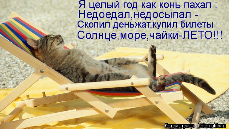 Я целый год как конь пахал : Недоедал,недосыпал - Скопил деньжат,купил билеты Солнце,море,чайки-ЛЕТО!... Котоматрица: Я целый год как конь пахал : Недоедал,недосыпал - Скопил деньжат,купил билеты Солнце,море,чайки-ЛЕТО!!!