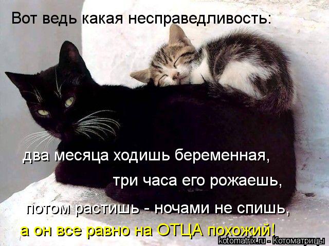 Вот ведь какая несправедливость: два месяца ходишь беременная, а он все равно на ОТЦА похожий! три ча... Котоматрица: Вот ведь какая несправедливость: два месяца ходишь беременная, а он все равно на ОТЦА похожий! три часа его рожаешь, потом растишь - ночами н