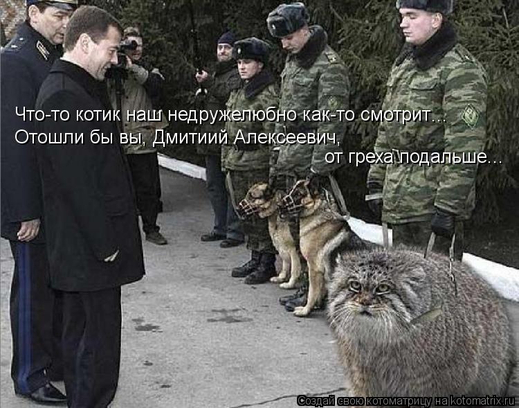 Что-то котик наш недружелюбно как-то смотрит ... Отошли бы вы, Дмитиий Алексеевич, от греха подальше... Котоматрица: Что-то котик наш недружелюбно как-то смотрит ... Отошли бы вы, Дмитиий Алексеевич, от греха подальше...