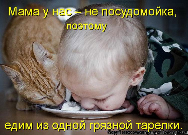 Мама у нас – не посудомойка, едим из одной грязной тарелки. поэтому... Котоматрица: Мама у нас – не посудомойка, едим из одной грязной тарелки. поэтому
