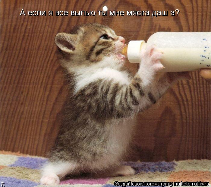 А если я все выпью ты мне мяска даш а? А если я все выпью ты мне мяска даш а?... Котоматрица: А если я все выпью ты мне мяска даш а? А если я все выпью ты мне мяска даш а?