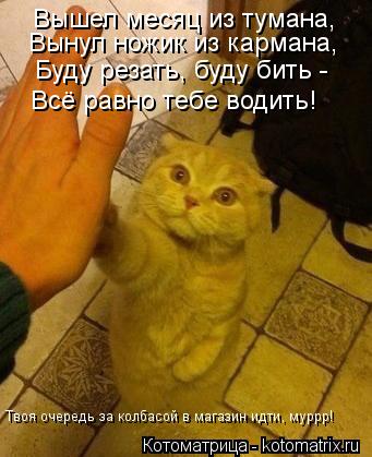 Вышел месяц из тумана, Вынул ножик из кармана, Буду резать, буду бить - Всё равно тебе водить! Твоя... Котоматрица: Вышел месяц из тумана, Вынул ножик из кармана, Буду резать, буду бить - Всё равно тебе водить! Твоя очередь за колбасой в магазин идти, муррр!