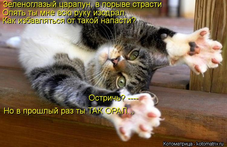 Зеленоглазый царапун, в порыве страсти Опять ты мне всю руку изодрал. Как избавляться от такой напаст... Котоматрица: Зеленоглазый царапун, в порыве страсти Опять ты мне всю руку изодрал. Как избавляться от такой напасти? Остричь? ---- Но в прошлый раз ты ТАК О