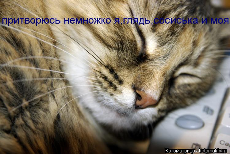 притворюсь немножко я,глядь,сосиська и моя... Котоматрица: притворюсь немножко я,глядь,сосиська и моя