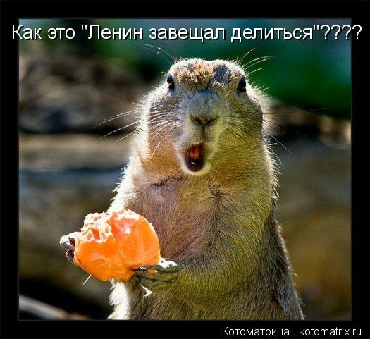 Как это "Ленин завещал делиться"????... Котоматрица: Как это "Ленин завещал делиться"????