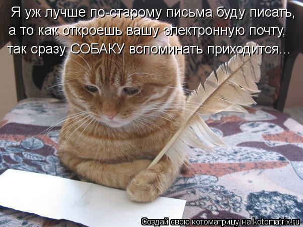 Я уж лучше по-старому письма буду писать, а то как откроешь вашу электронную почту, так сразу СОБАКУ ... Котоматрица: Я уж лучше по-старому письма буду писать, а то как откроешь вашу электронную почту, так сразу СОБАКУ вспоминать приходится...