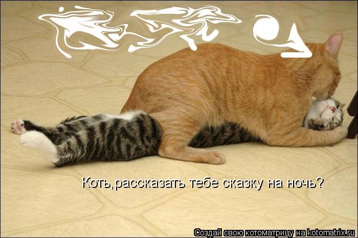 Коть,рассказать тебе сказку на ночь?... Котоматрица: Коть,рассказать тебе сказку на ночь?