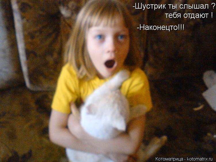 -Шустрик ты слышал ? тебя отдают ! -Наконецто -Наконецто!!!... Котоматрица: -Шустрик ты слышал ? тебя отдают ! -Наконецто -Наконецто!!!