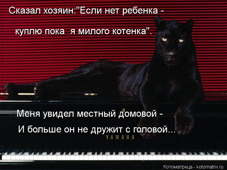 Меня увидел местный домовой - И больше он не дружит с головой... Сказал хозяин:"Если нет ребенка - ... Котоматрица: Меня увидел местный домовой - И больше он не дружит с головой... Сказал хозяин:"Если нет ребенка - куплю пока я милого котенка".