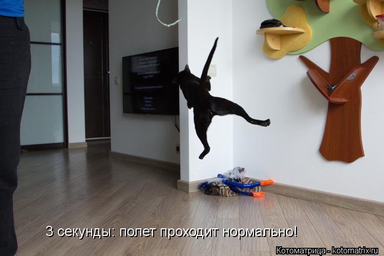 3 секунды: полет проходит нормально!... Котоматрица: 3 секунды: полет проходит нормально!