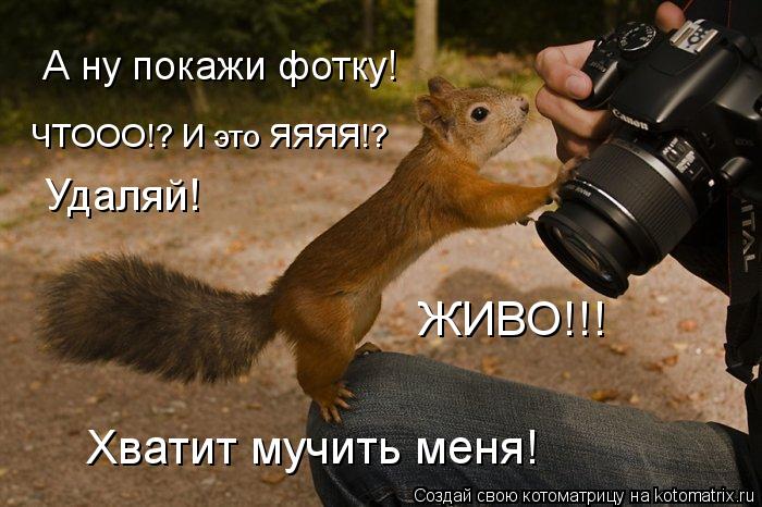 А ну покажи фотку! ЧТООО!? И это ЯЯЯЯ!? Удаляй! ЖИВО!!! Хватит мучить меня!... Котоматрица: А ну покажи фотку! ЧТООО!? И это ЯЯЯЯ!? Удаляй! ЖИВО!!! Хватит мучить меня!