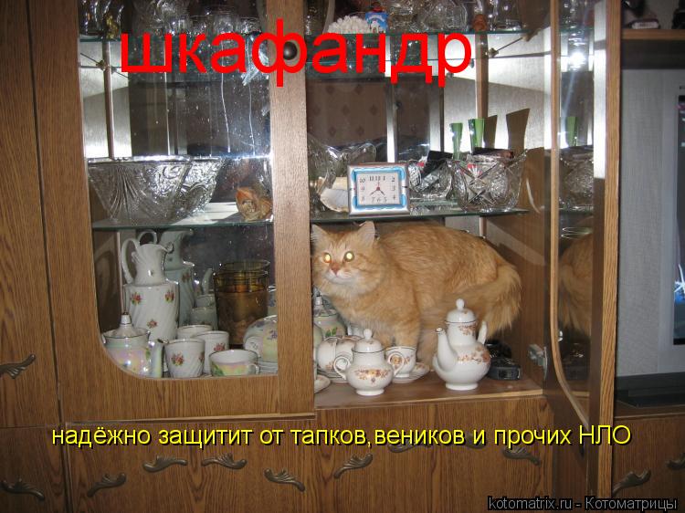 шкафандр надёжно защитит от тапков,веников и прочих НЛО... Котоматрица: шкафандр надёжно защитит от тапков,веников и прочих НЛО