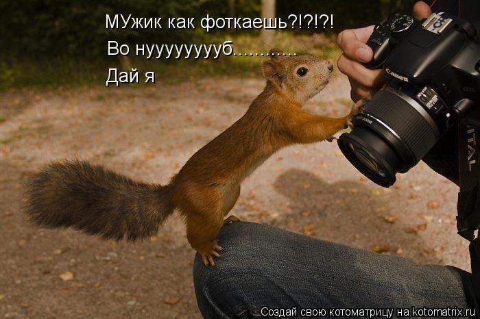 МУжик как фоткаешь?!?!?! Во нууууууууб............ Дай я... Котоматрица: МУжик как фоткаешь?!?!?! Во нууууууууб............ Дай я