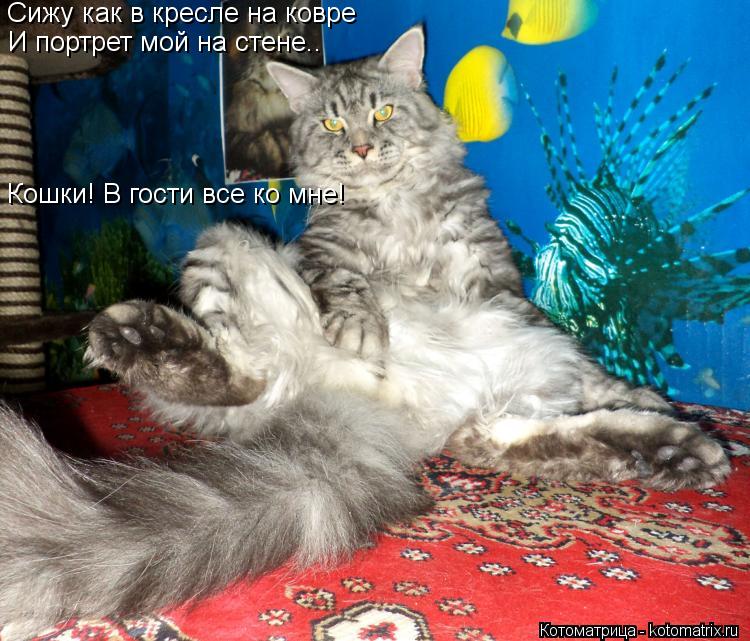 Сижу как в кресле на ковре И портрет мой на стене.. Кошки! В гости все ко мне!... Котоматрица: Сижу как в кресле на ковре И портрет мой на стене.. Кошки! В гости все ко мне!