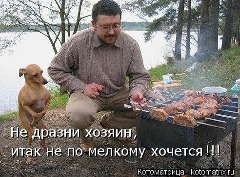 Не дразни хозяин итак не по мелкому хочется !!! ,... Котоматрица: Не дразни хозяин итак не по мелкому хочется !!! ,