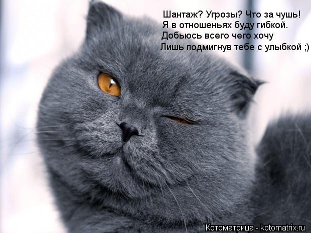 Шантаж? Угрозы? Что за чушь! Я в отношеньях буду гибкой. Добьюсь всего чего хочу Лишь подмигнув тебе ... Котоматрица: Шантаж? Угрозы? Что за чушь! Я в отношеньях буду гибкой. Добьюсь всего чего хочу Лишь подмигнув тебе с улыбкой ;)