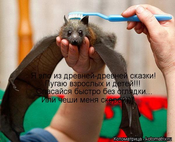 Я зло из древней-древней сказки! Пугаю взрослых и детей!!! Спасайся быстро без оглядки... Или чеши м... Котоматрица: Я зло из древней-древней сказки! Пугаю взрослых и детей!!! Спасайся быстро без оглядки... Или чеши меня скорей)))