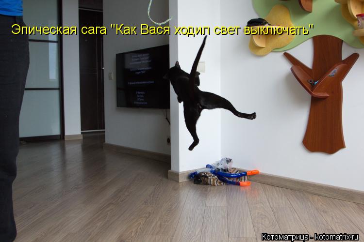 Эпическая сага "Как Вася ходил свет выключать"... Котоматрица: Эпическая сага "Как Вася ходил свет выключать"