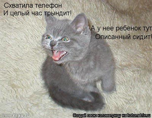 Котоматрица: Схватила телефон И целый час трындит! А у нее ребенок тут Описанный сидит!