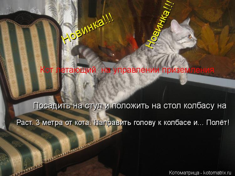 Кот летающий на управлении приземления Посадить на стул и положить на стол колбасу на Раст. 3 метра... Котоматрица: Кот летающий на управлении приземления Посадить на стул и положить на стол колбасу на Раст. 3 метра от кота. Направить голову к колбасе и...