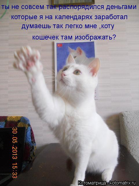 ты не совсем так распорядился деньгами которые я на календарях заработал думаешь так легко мне ,коту ... Котоматрица: ты не совсем так распорядился деньгами которые я на календарях заработал думаешь так легко мне ,коту кошечек там изображать?