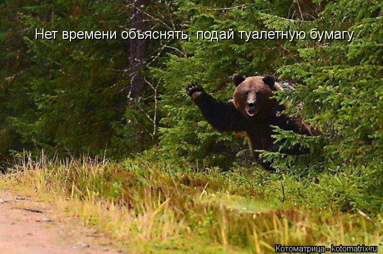Нет времени объяснять, подай туалетную бумагу.... Котоматрица: Нет времени объяснять, подай туалетную бумагу.