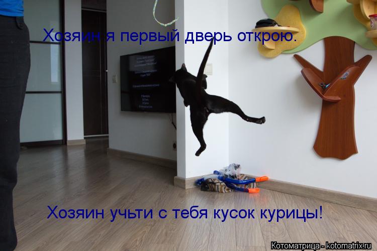 Котоматрица: Хозяин я первый дверь открою. Хозяин учьти с тебя кусок курицы!