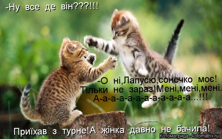 Котоматрица: -Ну  все  де  він???!!! -О  ні,Лапусю,сонечко  моє! Тільки  не  зараз!Мені,мені,мені... А-а-а-а-а-а-а-а-а-а-а-а...!!! Приїхав  з  турне!А  жінка  давно  не  бач