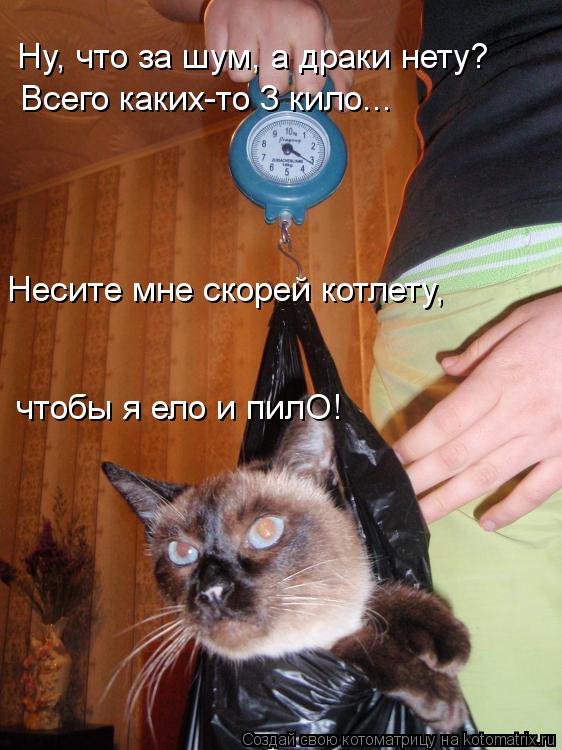 Всего каких-то 3 кило... Ну, что за шум, а драки нету? Несите мне скорей котлету, чтобы я ело и пилО... Котоматрица: Всего каких-то 3 кило... Ну, что за шум, а драки нету? Несите мне скорей котлету, чтобы я ело и пилО!