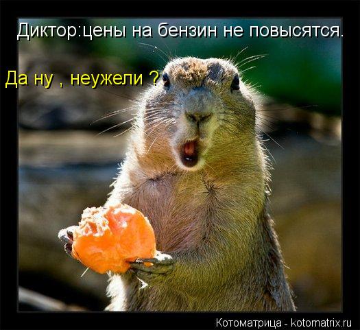 Диктор:цены на бензин не повысятся. Да ну , неужели ?... Котоматрица: Диктор:цены на бензин не повысятся. Да ну , неужели ?