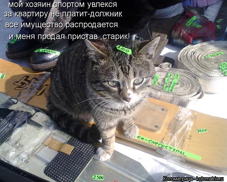 мой хозяин спортом увлекся за квартиру не платит-должник все имущество распродается и меня продал при... Котоматрица: мой хозяин спортом увлекся за квартиру не платит-должник все имущество распродается и меня продал пристав ,старик!
