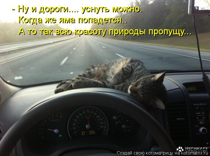 - Ну и дороги.... уснуть можно. Когда же яма попадется.. А то так всю красоту природы пропущу...... Котоматрица: - Ну и дороги.... уснуть можно. Когда же яма попадется.. А то так всю красоту природы пропущу...