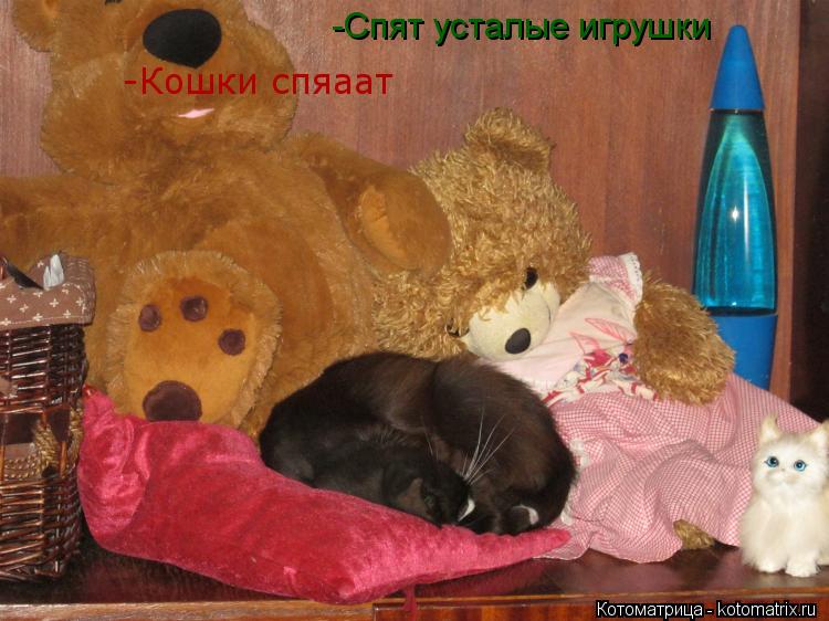 -Спят усталые игрушки -Кошки спяаат... Котоматрица: -Спят усталые игрушки -Кошки спяаат