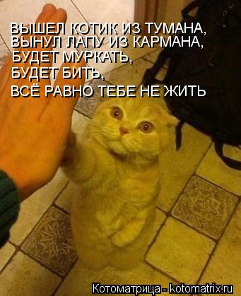 БУДЕТ МУРКАТЬ, ВЫНУЛ ЛАПУ ИЗ КАРМАНА, ВЫШЕЛ КОТИК ИЗ ТУМАНА, БУДЕТ БИТЬ, ВСЁ РАВНО ТЕБЕ НЕ ЖИТЬ... Котоматрица: БУДЕТ МУРКАТЬ, ВЫНУЛ ЛАПУ ИЗ КАРМАНА, ВЫШЕЛ КОТИК ИЗ ТУМАНА, БУДЕТ БИТЬ, ВСЁ РАВНО ТЕБЕ НЕ ЖИТЬ