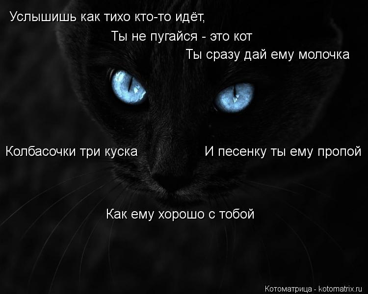 Услышишь как тихо кто-то идёт, Ты не пугайся - это кот Ты сразу дай ему молочка Как ему хорошо с тобо... Котоматрица: Услышишь как тихо кто-то идёт, Ты не пугайся - это кот Ты сразу дай ему молочка Как ему хорошо с тобой Колбасочки три куска И песенку