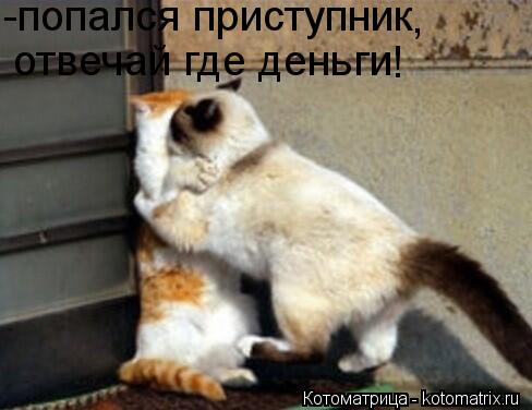 -попался приступник отвечай где деньги ! ,... Котоматрица: -попался приступник отвечай где деньги ! ,