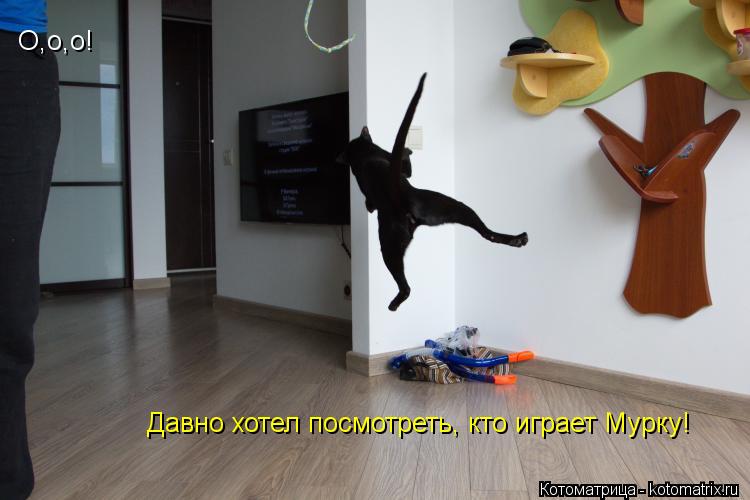 Котоматрица: О,о,о! Давно хотел посмотреть, кто играет Мурку!