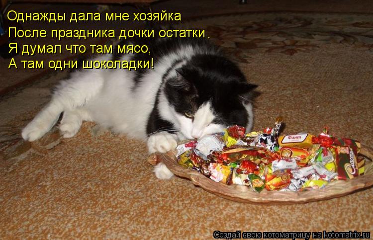 Однажды дала мне хозяйка После праздника дочки остатки Я думал что там мясо, А там одни шоколадки! .... Котоматрица: Однажды дала мне хозяйка После праздника дочки остатки Я думал что там мясо, А там одни шоколадки! .