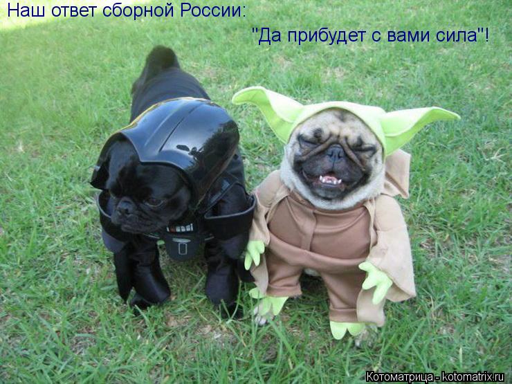 Наш ответ сборной России: "Да прибудет с вами сила"!... Котоматрица: Наш ответ сборной России: "Да прибудет с вами сила"!