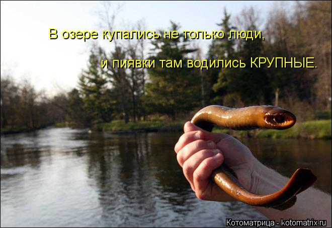 Котоматрица: В озере купались не только люди,  и пиявки там водились КРУПНЫЕ.
