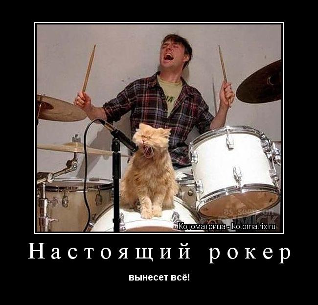 Настоящий рокер вынесет всё!... Котоматрица: Настоящий рокер вынесет всё!