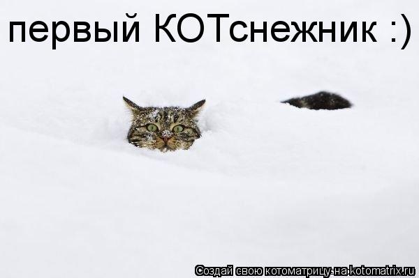 первый КОТснежник :)... Котоматрица: первый КОТснежник :)