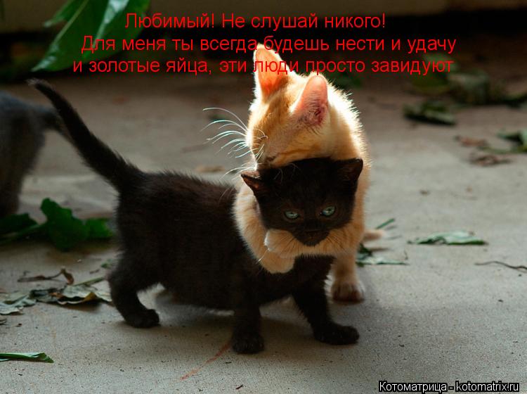 Любимый! Не слушай никого! Для меня ты всегда будешь нести и удачу Для меня ты всегда будешь нести и ... Котоматрица: Любимый! Не слушай никого! Для меня ты всегда будешь нести и удачу Для меня ты всегда будешь нести и удачу и золотые яйца, эти люди просто зав