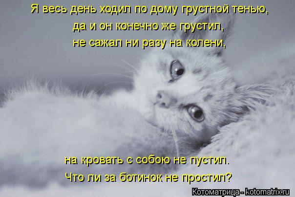 Я весь день ходил по дому грустной тенью, на кровать с собою не пустил. Что ли за ботинок не простил?... Котоматрица: Я весь день ходил по дому грустной тенью, на кровать с собою не пустил. Что ли за ботинок не простил? да и он конечно же грустил, не сажал ни ра